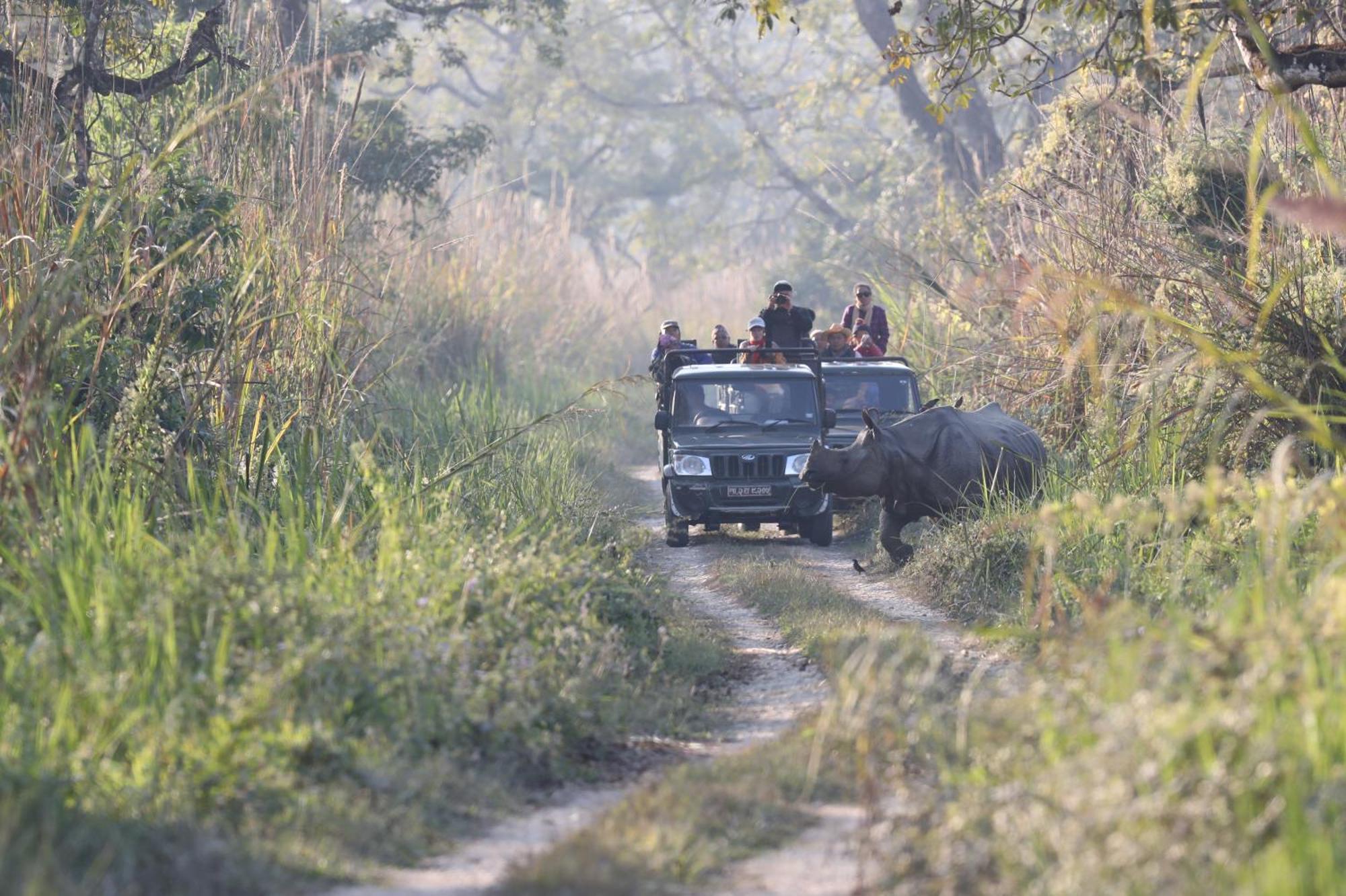 Chitwan Gaida Lodge - Animal Lovers & Birdwatchers Paradise Sauraha Exterior foto