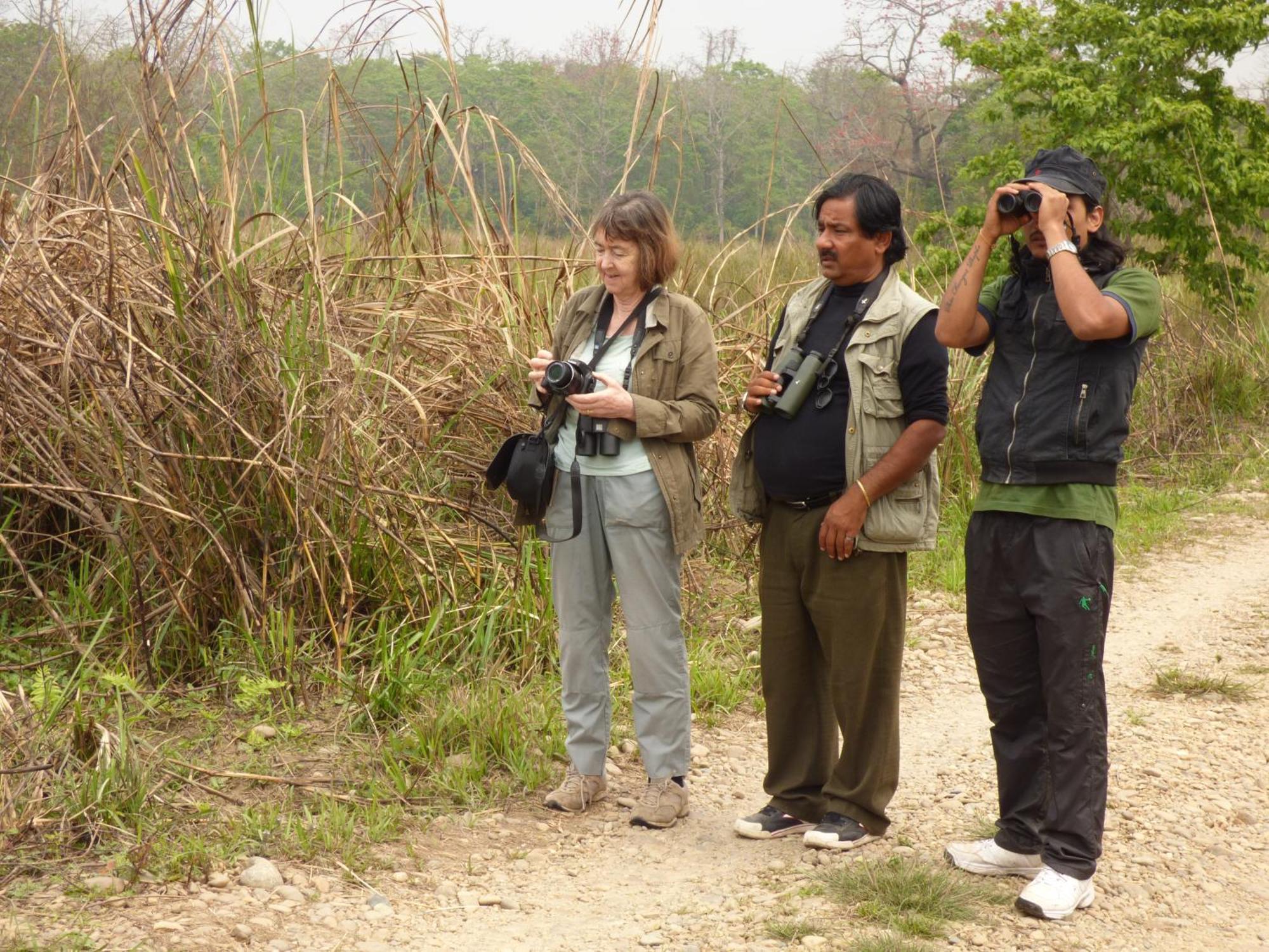 Chitwan Gaida Lodge - Animal Lovers & Birdwatchers Paradise Sauraha Exterior foto